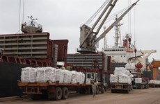 Cement, clinker exports likely to reach yearly targets