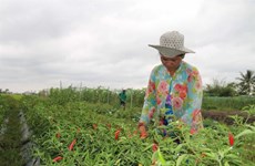 Climate-change adaptation models help farmers escape poverty
