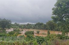 Heavy rains cause 5 deaths in Dak Nong province 