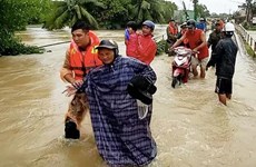 Phu Quoc needs permanent solution after historic floods