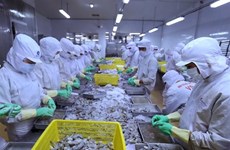 Shrimp exports expected to pick up in second half