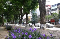 Seminar suggests green ideas for Hanoi