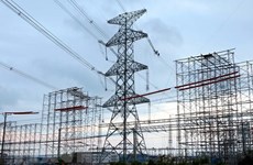 Experts call for allowing private capital in power grid construction