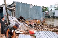 Ca Mau seeks gov’t fund to resettle households in disaster–prone areas