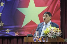 Identifying opportunities for Vietnamese firms