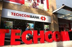 Techcombank to issue 3.5 million shares to employees 