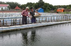 Solutions sought in water stocking in Mekong Delta