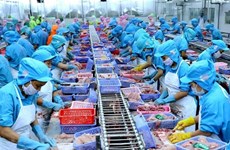 Vietnam's seafood exports rise but challenges continue