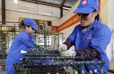 Binh Duong runs trade surplus of over 4.5 billion USD in eight months