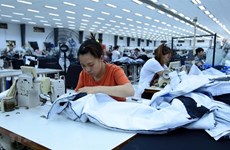 Vietnam leads ASEAN in women's employment
