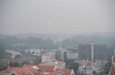 Singapore faces worst air quality in three years