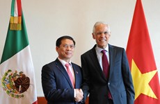 Vietnam, Mexico hold fifth political consultation