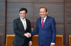 Deputy PM Truong Hoa Binh pays official visit to Singapore