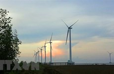 Quang Tri province greenlights three wind power projects
