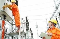 Fitch Ratings gives Vietnam Electricity ‘BB’ rating