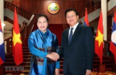 Vietnamese top legislator meets Lao Prime Minister 