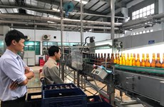 Dak Lak’s industrial production up 4.87 percent 