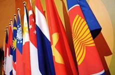 ASEAN members review process of IAI projects