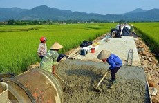 Dak Nong mobilises 91 trillion VND for new-style rural building
