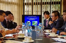 Vietnamese, Japanese firms partner to support Mozambique’s development