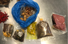 Vietnamese woman deported over attempt to bring pork into Australia
