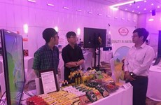 Vietnamese SMEs need more backing to enter supply chains: workshop