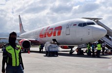 Families of Lion Air crash victims meet Indonesian safety agency 