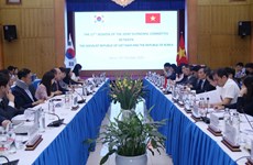 Vietnam, RoK discuss ways to promote economic ties