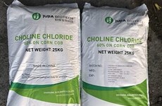 India initiates investigation on imports of choline chloride