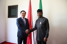 Deputy PM holds talks with Nigerian Vice President 