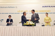 Vietnam Airlines - Air France joint venture carry over 600,000 passengers 