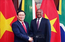 Deputy PM Vuong Dinh Hue pays working visit to South Africa