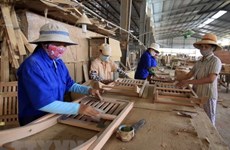 Workshop focuses trade frauds, FDI shift in woodworking sector  