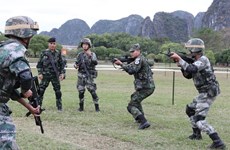 ADMM Plus countries conclude joint anti-terrorism actual-troop drill