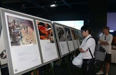 Photo exhibition spotlights pain of Vietnamese, Japanese war victims 