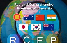Indonesia vows to open 65 percent of market after RCEP