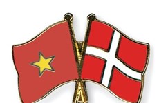 Denmark helps Vietnam with sustainable development