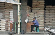 Indonesia aims to export up to half a mln tonnes of premium rice in 2020
