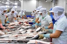 Vietnam’s foreign trade to exceed 500 billion USD in 2019