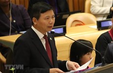 Vietnam introduces priorities during tenure in UN Security Council 