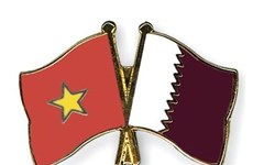 Leaders congratulate Qatari counterparts on National Day