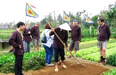 Hoi An gears up for tours to Tra Que vegetable village