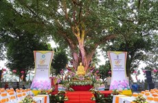 Ceremony marks 60th anniversary of Indian Bodhi tree gifted to Vietnam