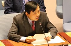 Vietnam ready for UN Security Council’s non-permanent membership