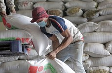 Cambodia exports 7 million tonnes of farm produce in 2019