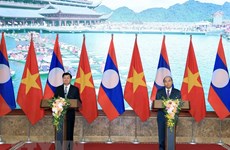 Vietnamese, Lao PMs: inter-gov’t committee meeting a success 