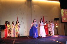 Overseas Vietnamese gather for Tet celebration