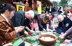 Foreign diplomatic corps explore Vietnamese traditional Tet