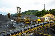 Vietnam increases coal, ore and mineral imports