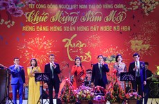 Vietnamese communities abroad celebrate Tet 